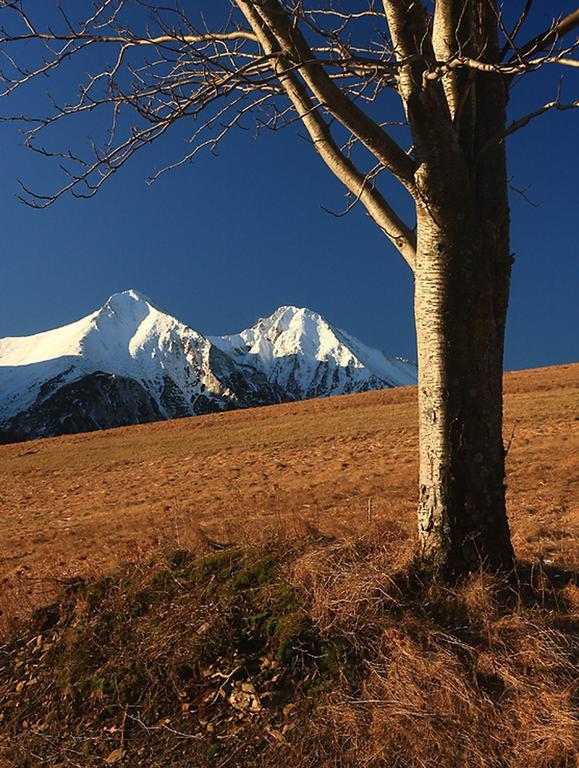 Penzion Horec III Zdiar Bagian luar foto